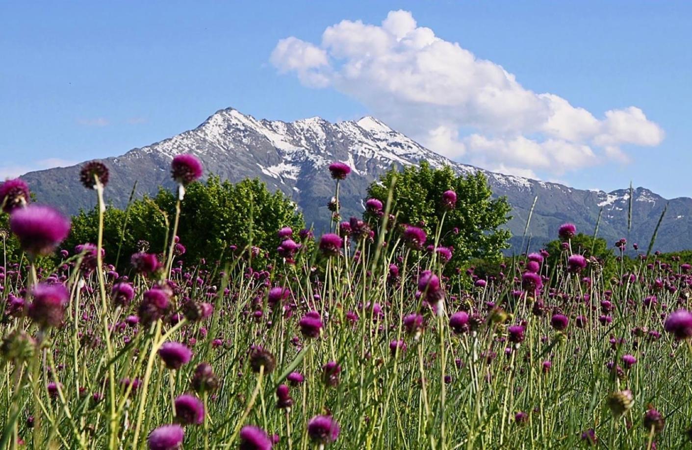 Appartamento La Casa Di Zia Maria Boves Esterno foto
